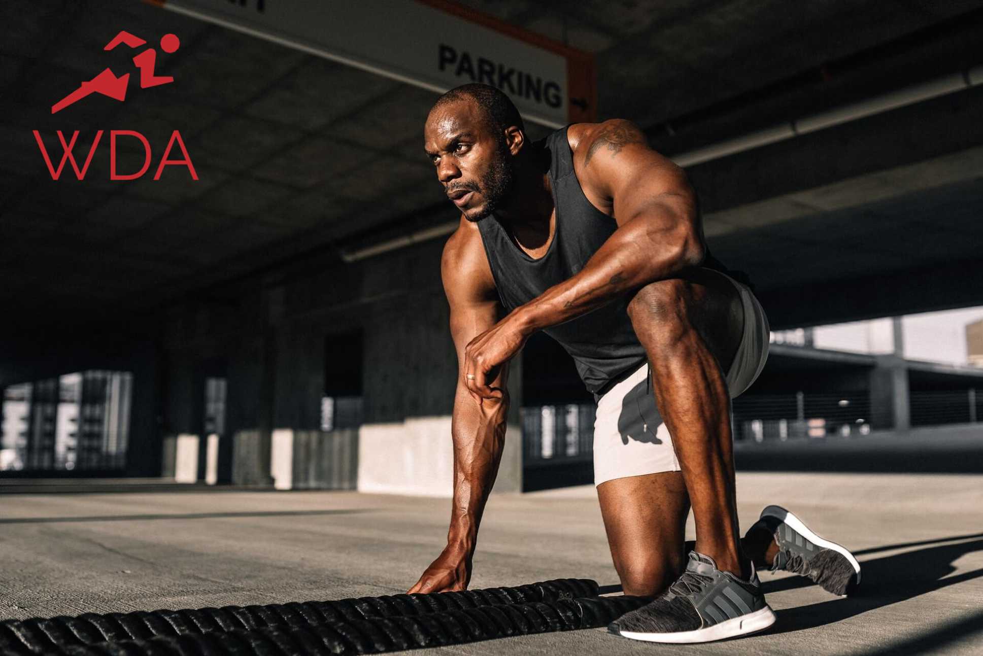 WDA Fitness App